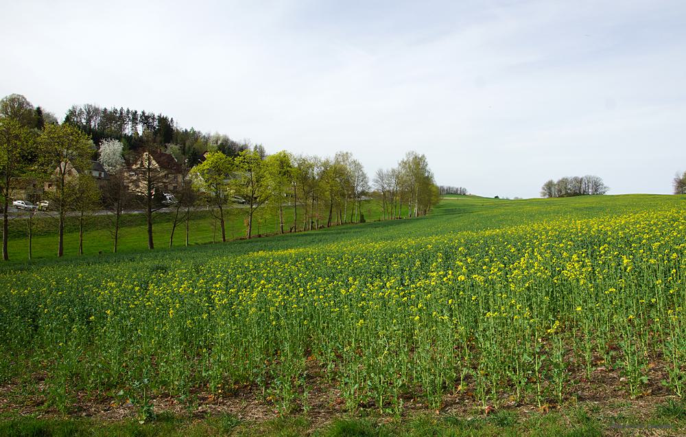 Eybenberg - Bubenberg