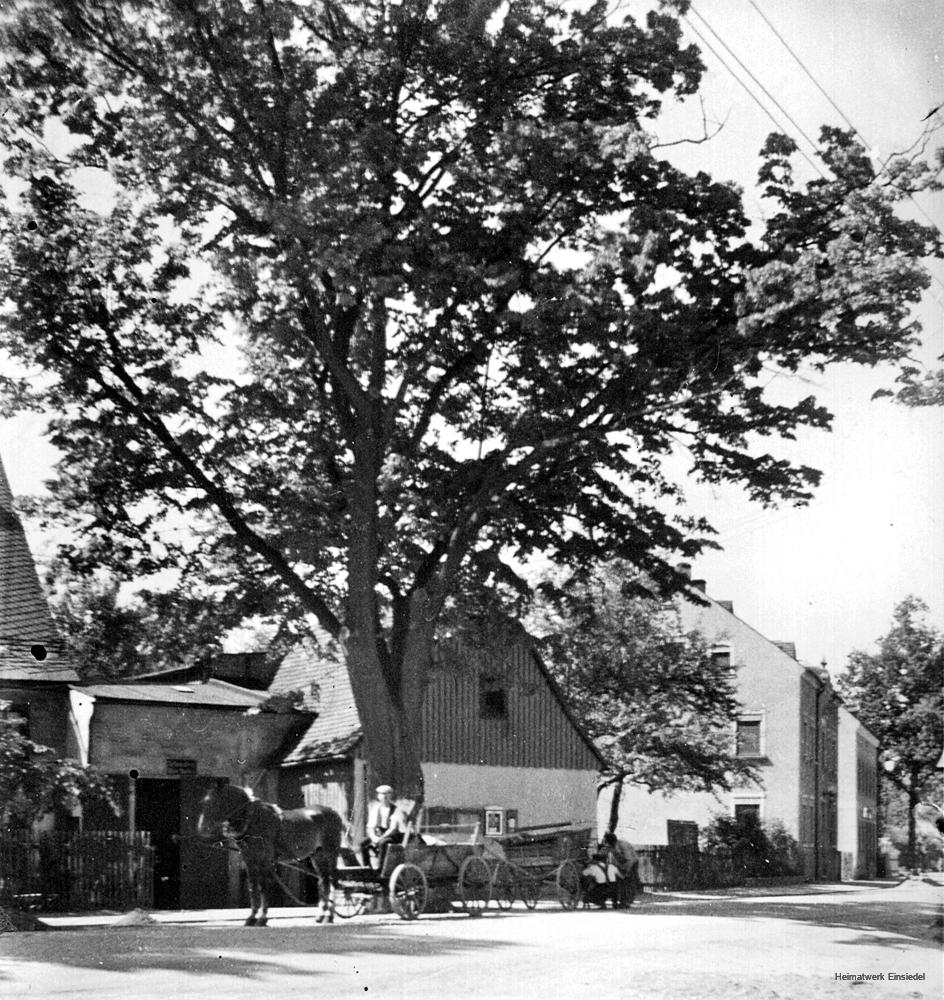 Linde vor der Fischer-Schmiede in Einsiedel um 1930