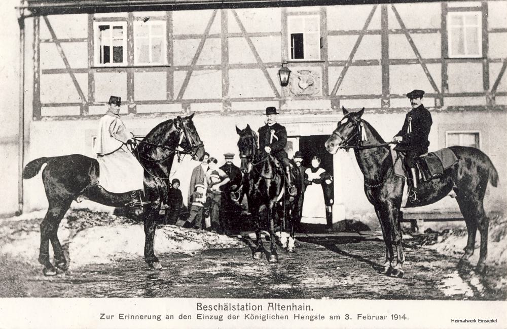 Beschälstation Altenhain bei Chemnitz im Gasthof "Goldener Hahn" 1914